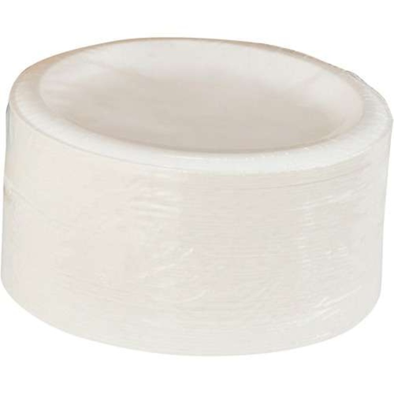Dixie Dinner Plates – Heavyweight, Nature Theme, White