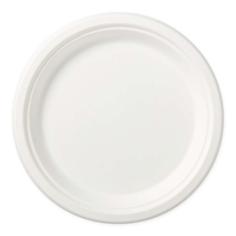 Paper Plates – Eco-Friendly, 125 Pack