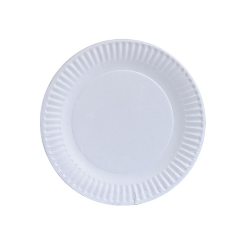 Paper Plates – White, 9 Inch, 100 Pack