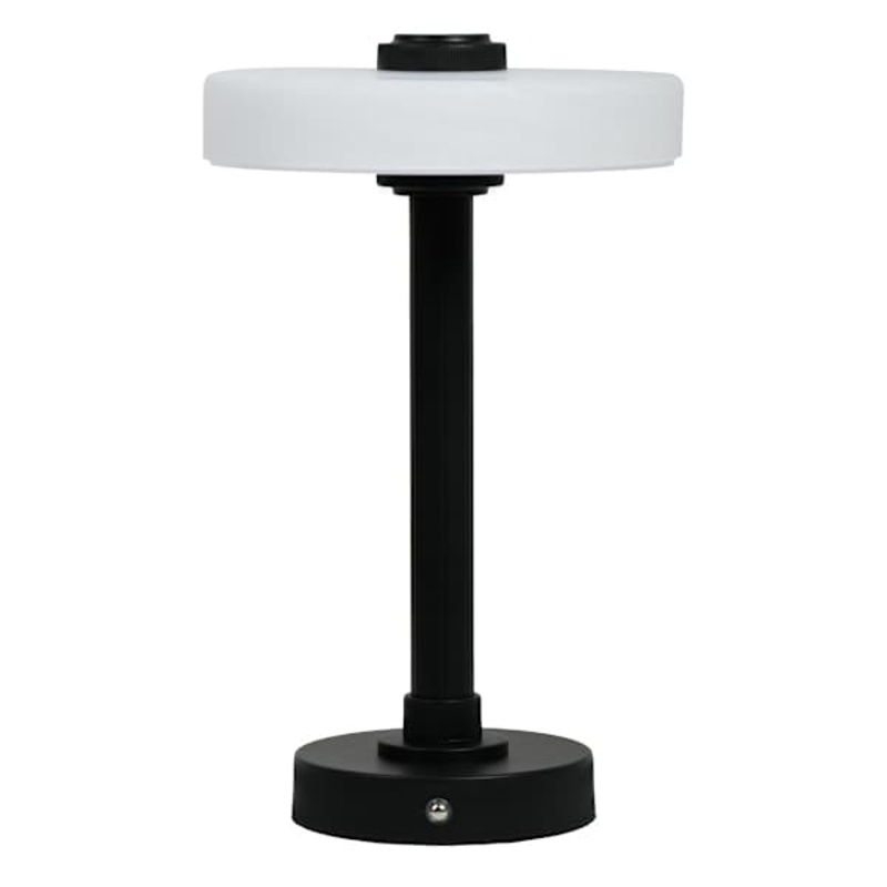 Black Metal Portable Rechargeable Lamp with Glass Shade, 12″