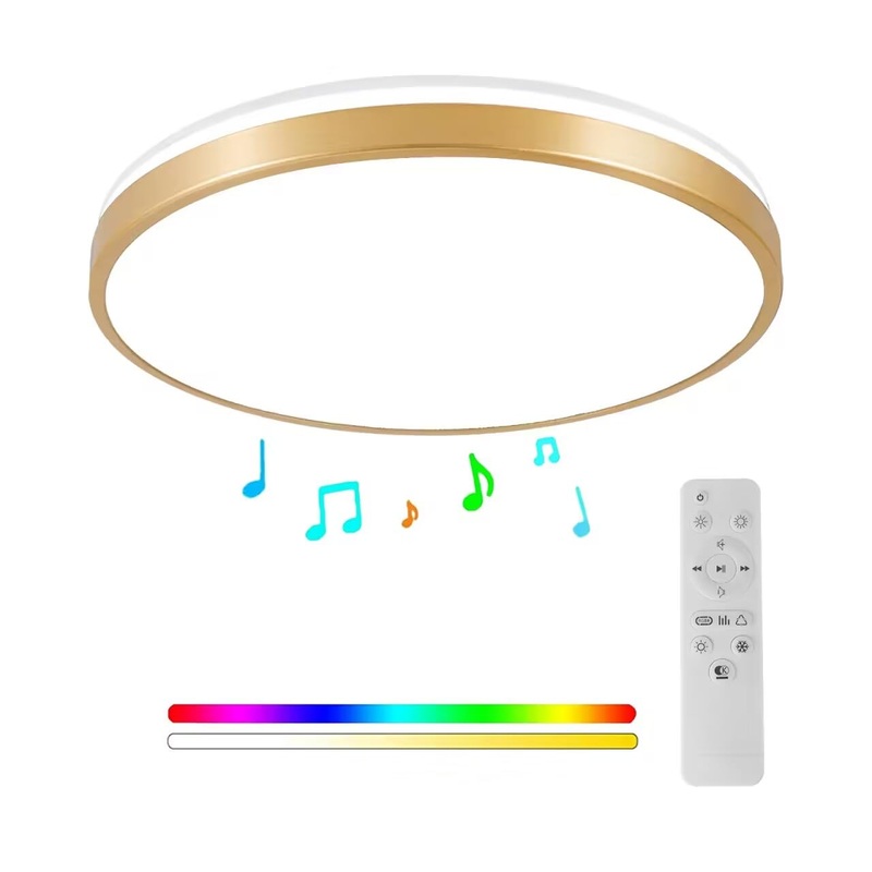 Horevo 30cm Bluetooth ceiling lamp with remote control 24W champagne golden ceiling lamp dimmable and color-changing light with speaker light Suitable for children’s room bedchamber gold frame with remote control