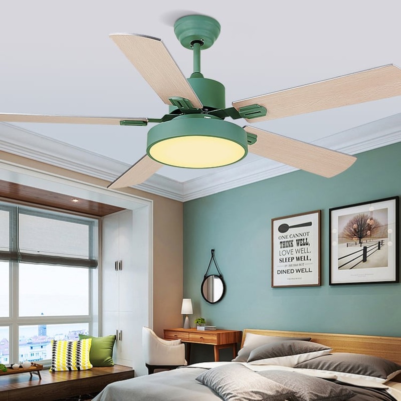 Ceiling  Fan Ultra-Thin Modern Simplicity Frequency Remote