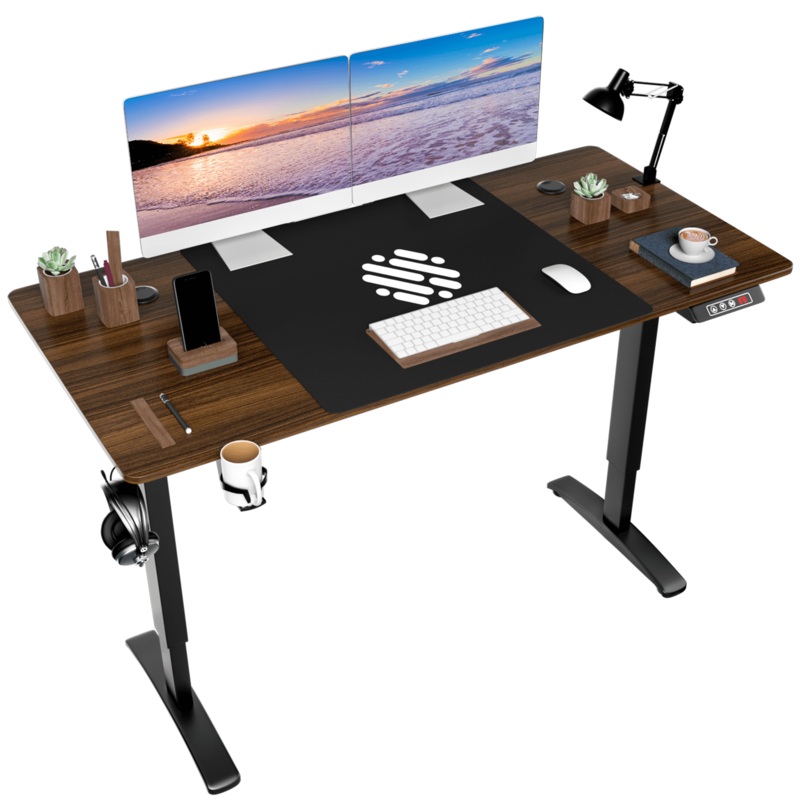 Vineego 55 Inches Electric Standing Desk Height Adjustable Computer Desk Home Workstation,Brown
