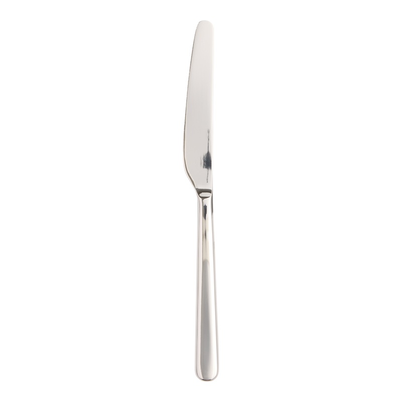 Wilson Stainless Steel Modern Dinner Knife Set of 2