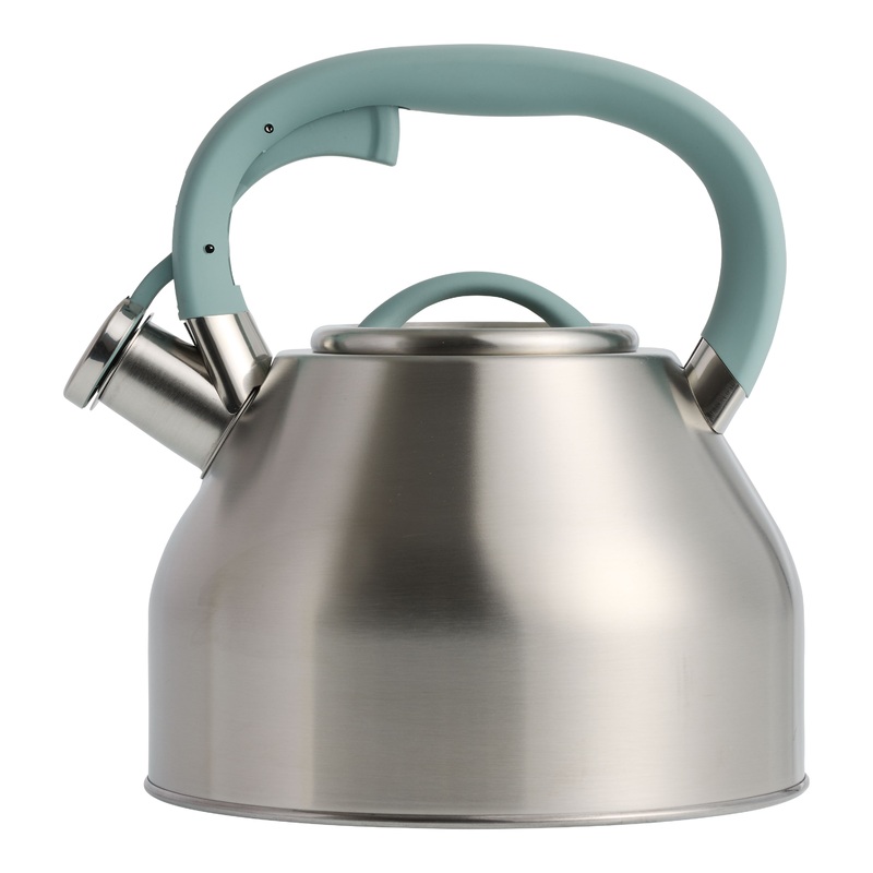 Aqua and Stainless Steel Whistling Stovetop Tea Kettle