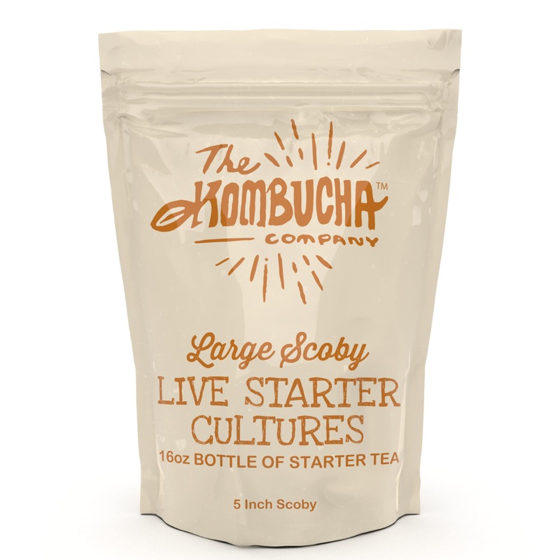 The Kombucha Company Large Kombucha SCOBY 16 Ounce Bottle of Strong Live Kombucha Starter Tea Cultures  Makes 1 Gallon  2 Cups Mature Starter Tea 16 Fl Oz (Pack of 1)